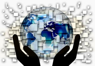 乐鱼体育 vip注册-中国篮球教练员战术创新与应用案例分析，篮球教练基本战术